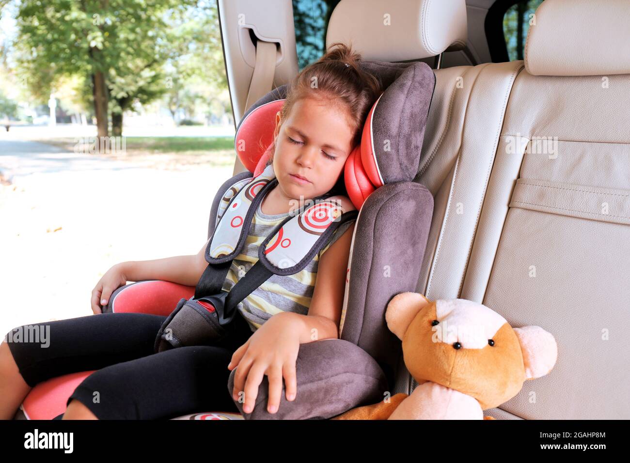 Adorable little girl sleeping in the car Stock Photo Alamy