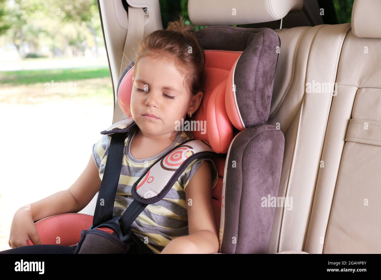 Adorable little girl sleeping in the car Stock Photo Alamy