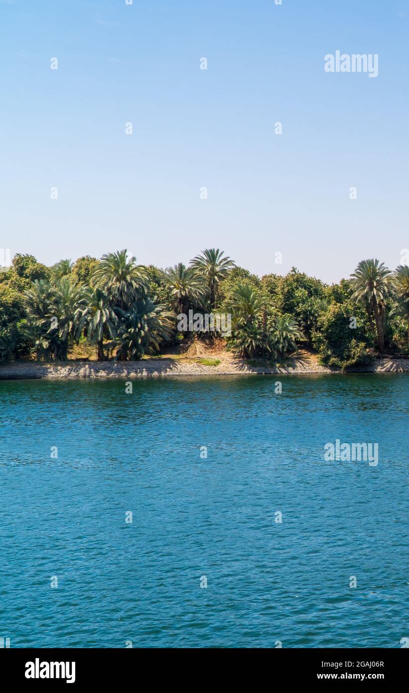 Vegetation and landscapes on the Nile River in Egypt Stock Photo