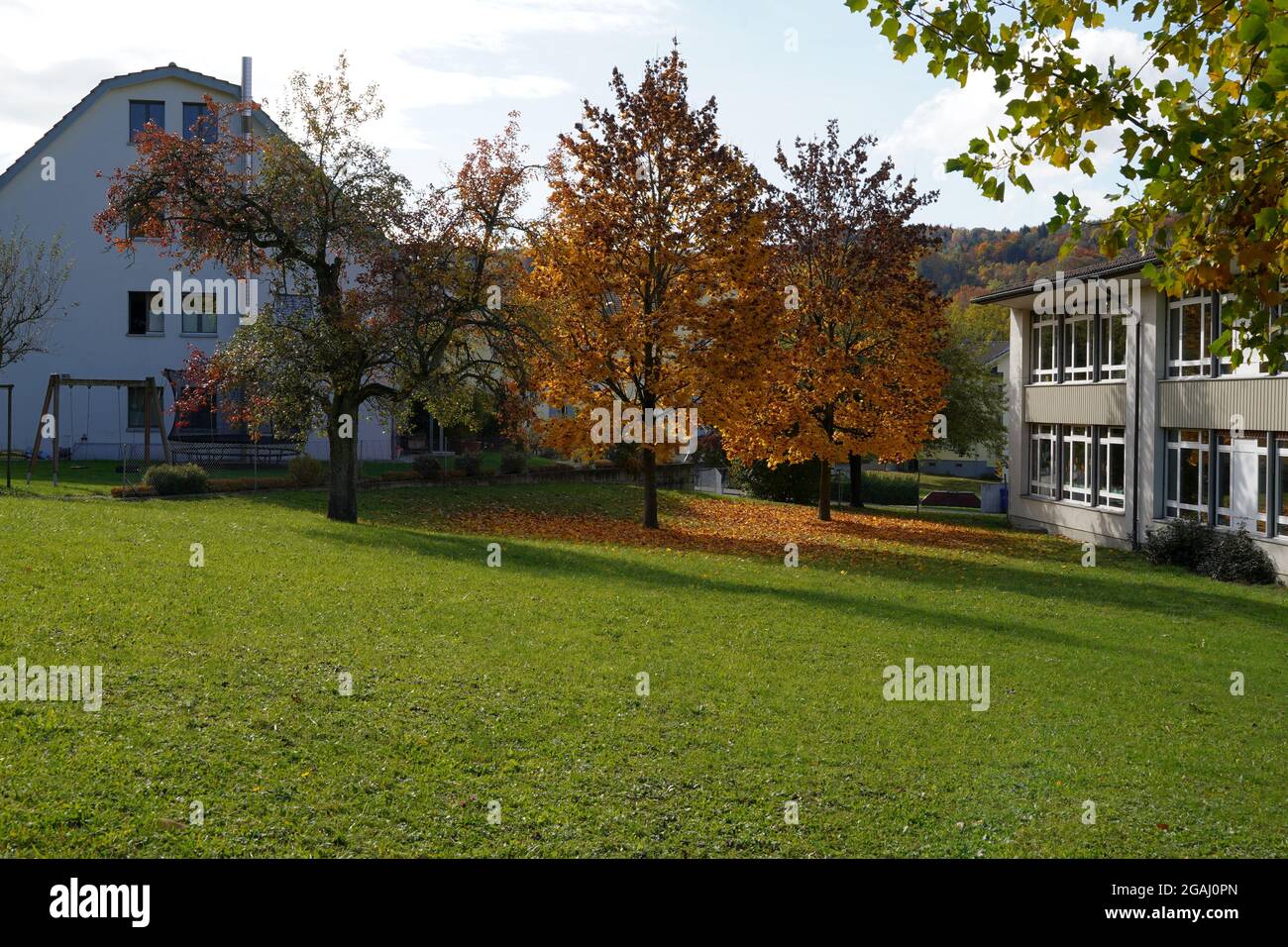 Rural scene in autumn. Residential building and school with colorful autumn trees in the background. In the foreground there is green lawn. Stock Photo
