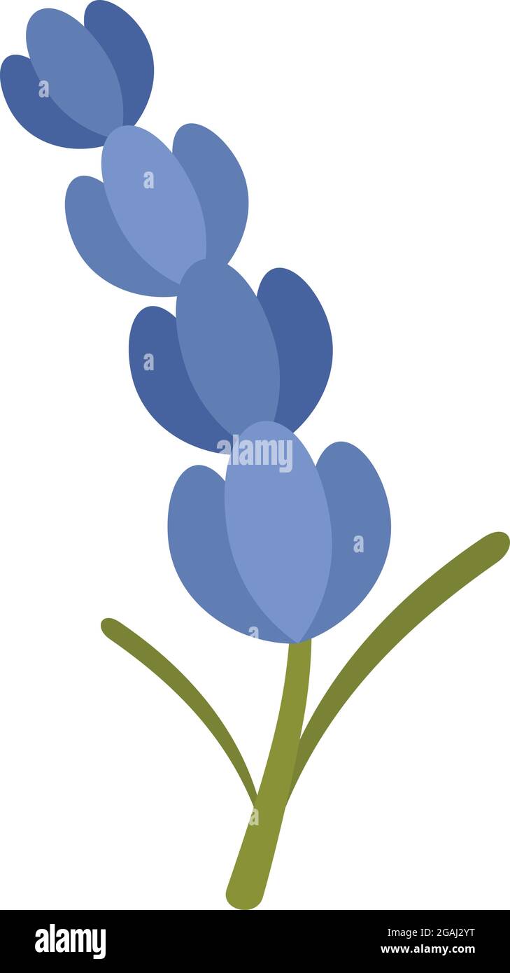Lavender icon. Flat illustration of lavender vector icon isolated on ...
