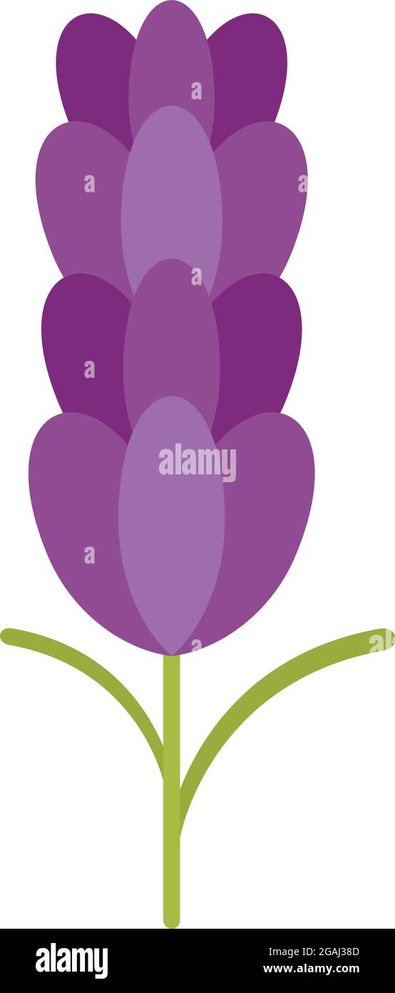 Organic lavender icon. Flat illustration of organic lavender vector ...