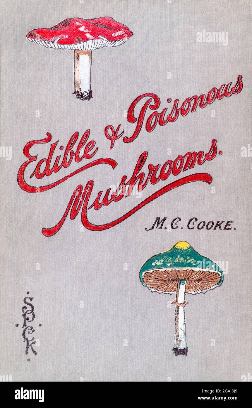 Rather battered printed cloth cover of Mordecai Cooke's British fungus book 'Edible & Poisonous Mushrooms' printed in 1894. Victorian mycology. Stock Photo