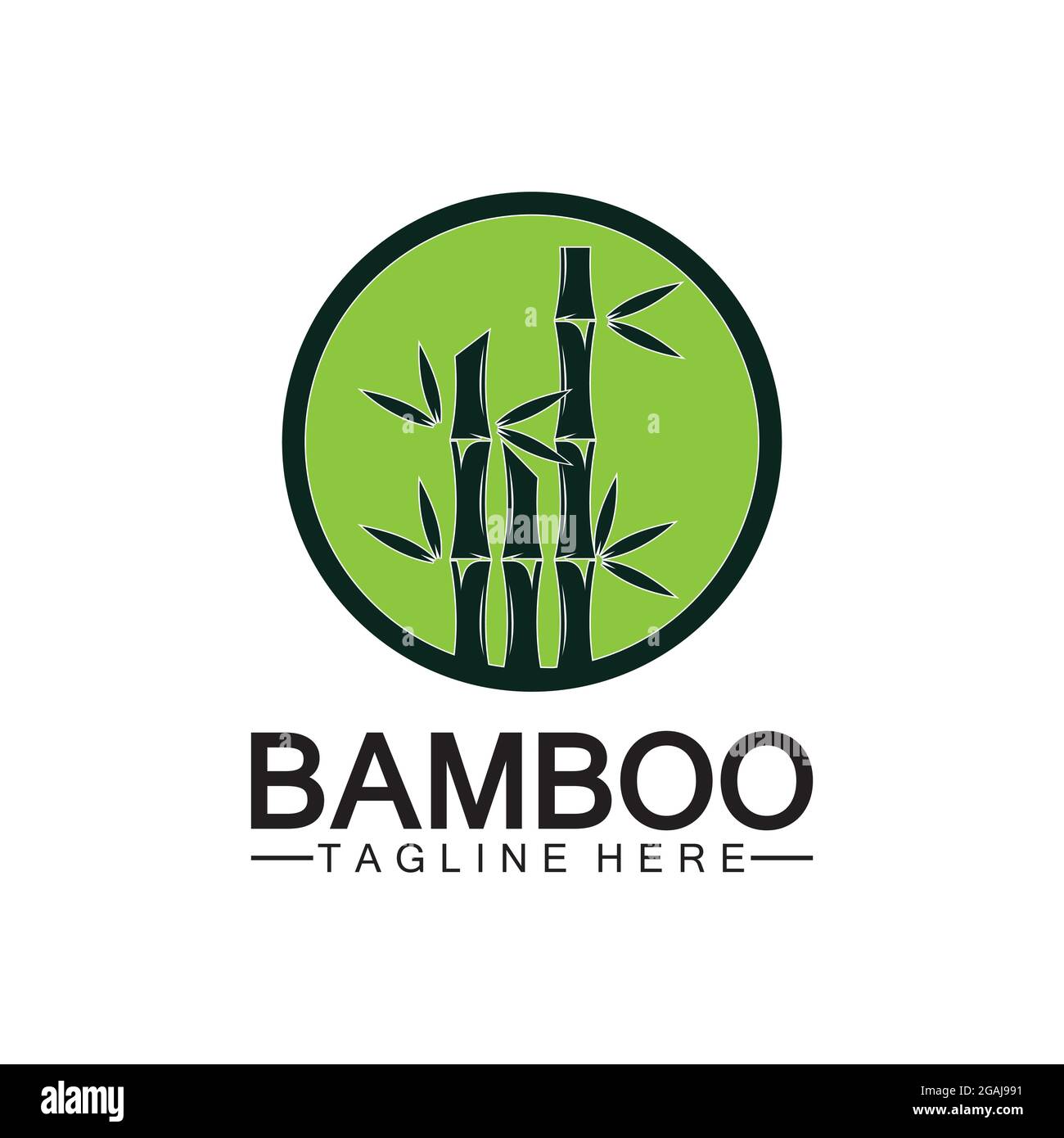 Bamboo Logo Template vector icon illustration design Stock Vector