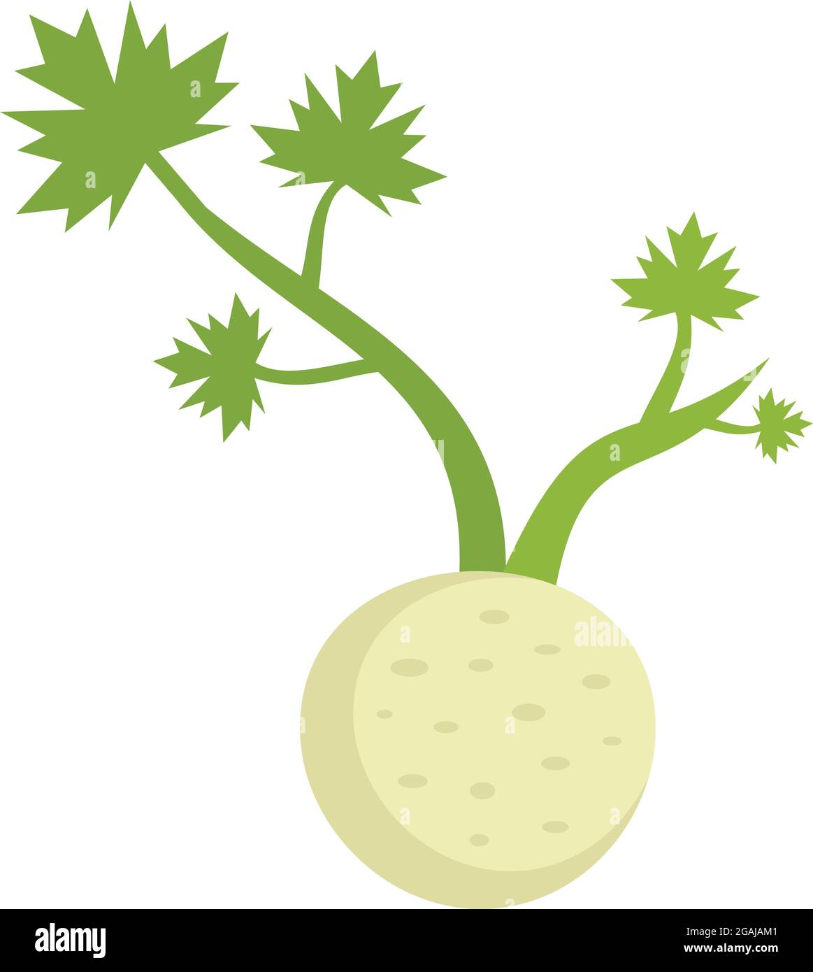 Fresh root celery icon. Flat illustration of fresh root celery vector ...