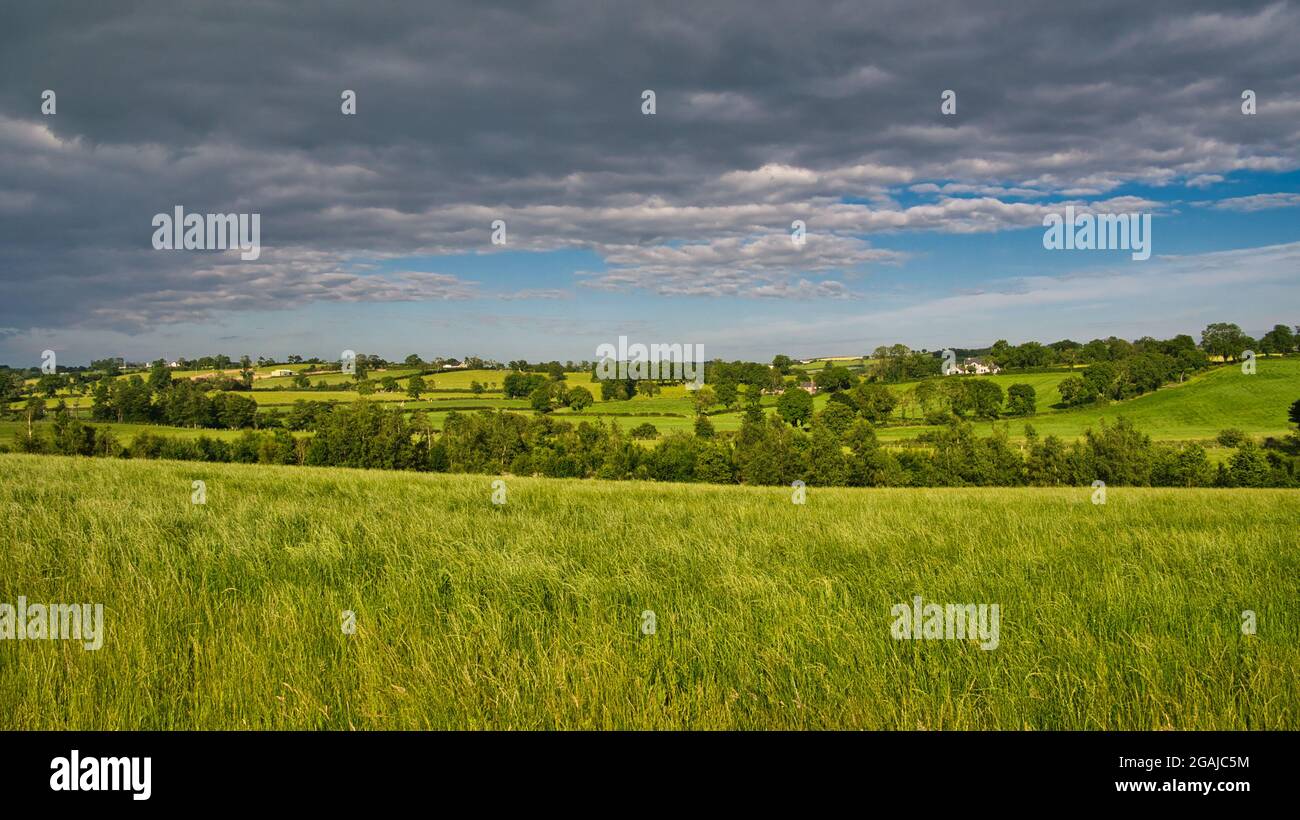 Rich, verdant, green rolling agricultural fields near Markethill in County Armagh in Northern Ireland, UK. A panoramic view taken on a sunny day. Stock Photo