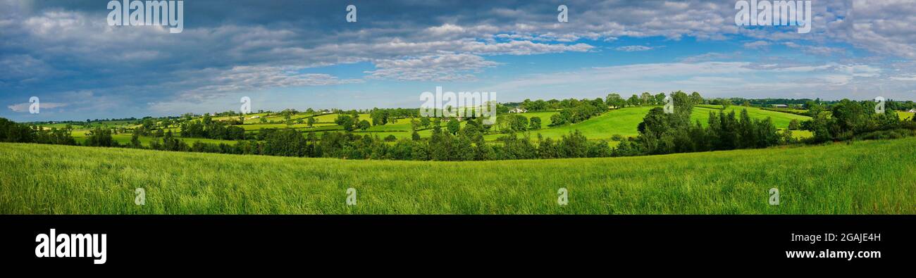 Rich, verdant, green rolling agricultural fields near Markethill in County Armagh in Northern Ireland, UK. A panoramic view taken on a sunny day. Stock Photo