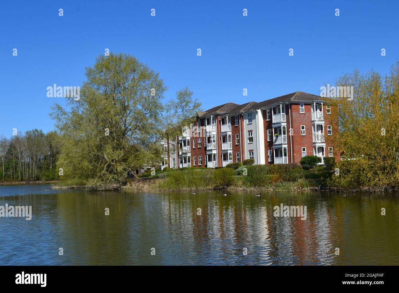 Waterside flats at Watermead, Aylesbury, Buckinghamshire, England, UK Stock Photo