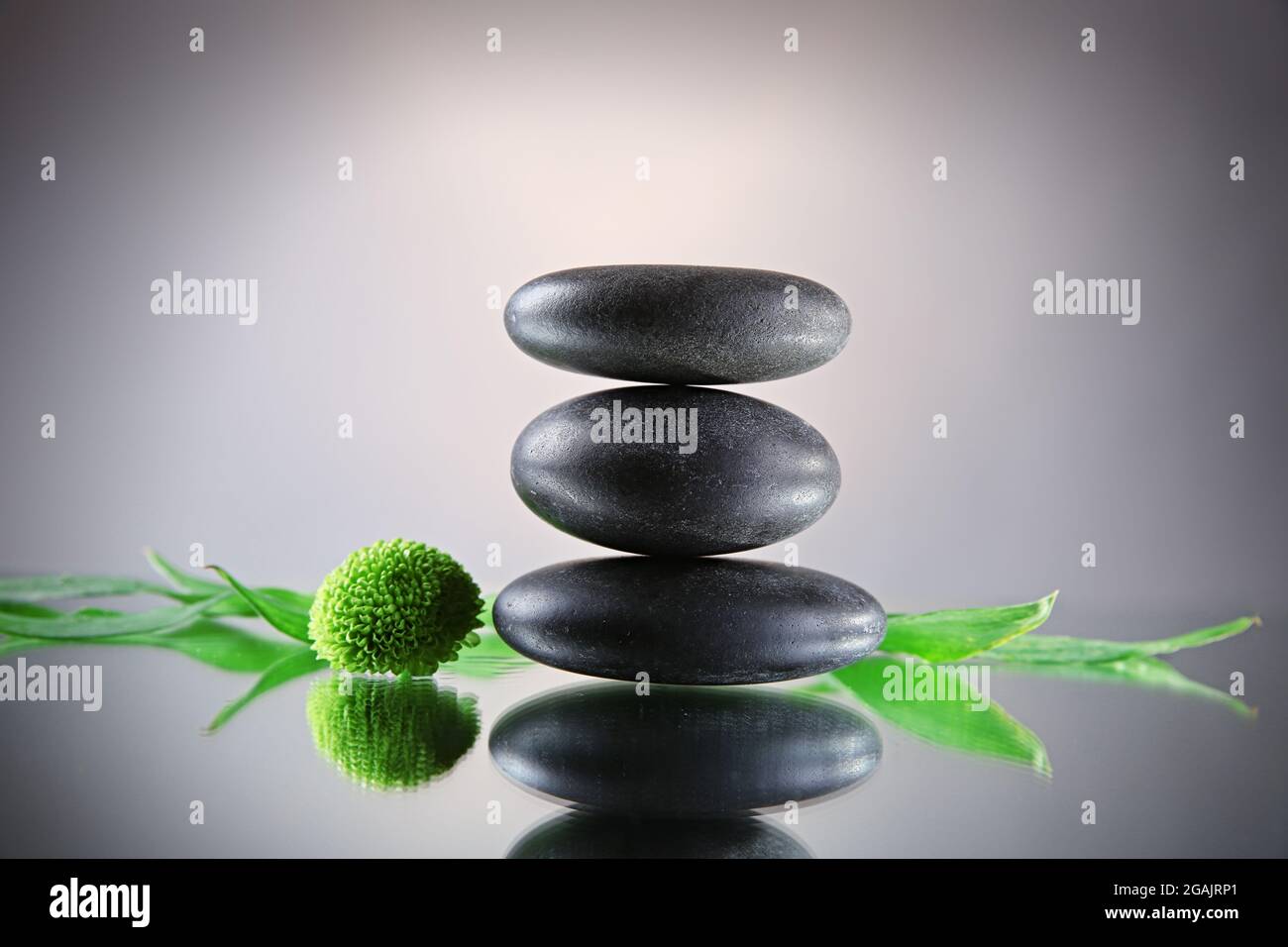 Spa stones and green branch on grey background Stock Photo - Alamy