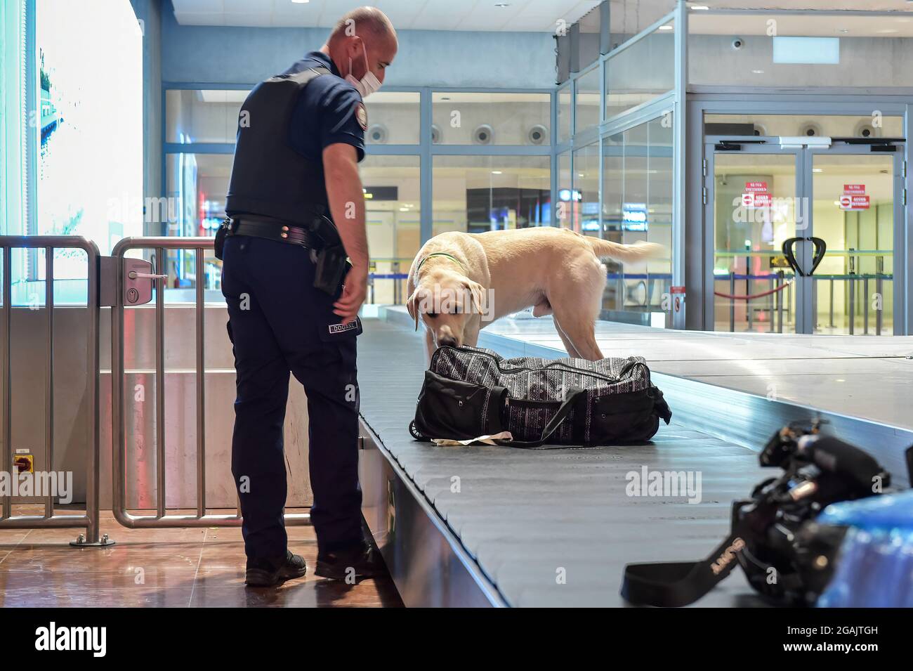 Drug dog airport hires stock photography and images Alamy