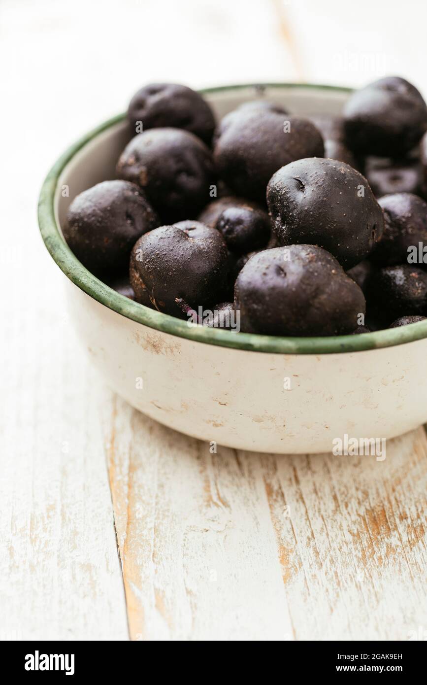 Purple potato (var. Valfi/Königsblau) freshly harvested. Stock Photo