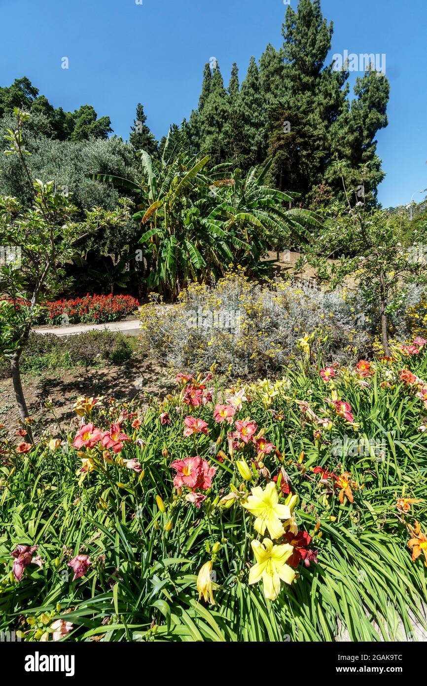 Botanischer Garten von Malaga, Jardín Botánico-Histórico La Concepción, Costa del Sol, Provinz Malaga, Andalusien, Spanien, Europa, Stock Photo