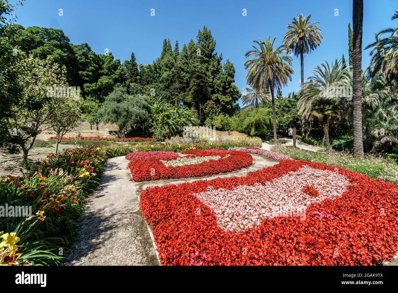 Botanischer Garten von Malaga, Jardín Botánico-Histórico La Concepción, Costa del Sol, Provinz Malaga, Andalusien, Spanien, Europa, Stock Photo