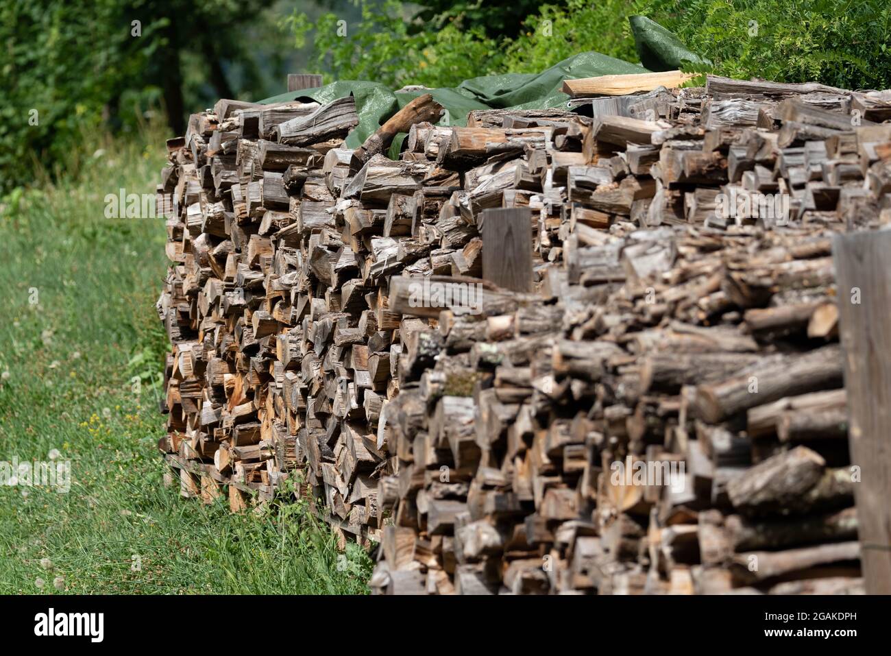 Firewood stacked for outdoor drying. Drying wood for the fireplace