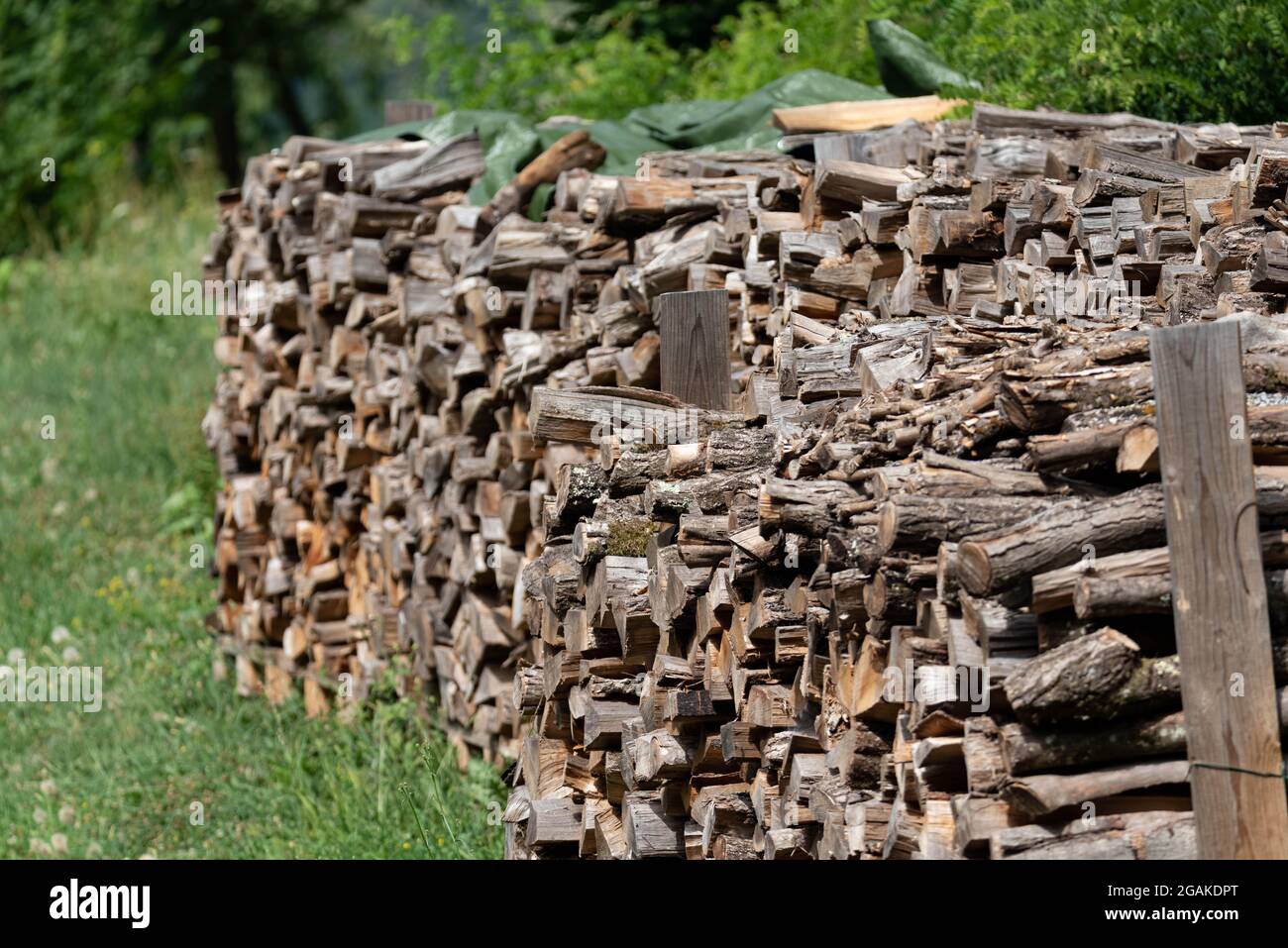 Firewood stacked for outdoor drying. Drying wood for the fireplace. Stock Photo