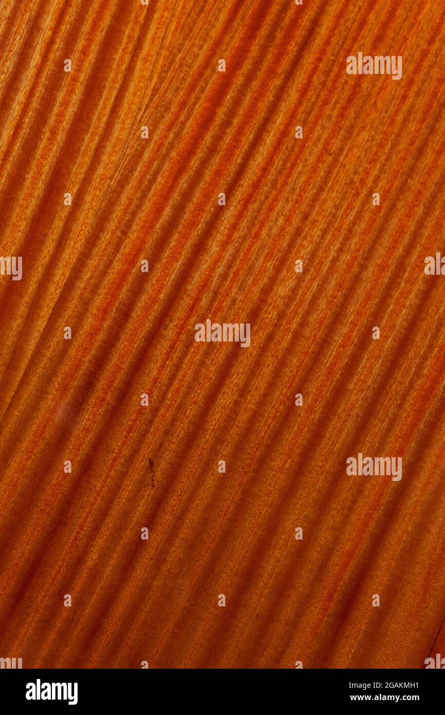 texture of polished lacquered plywood Stock Photo Alamy