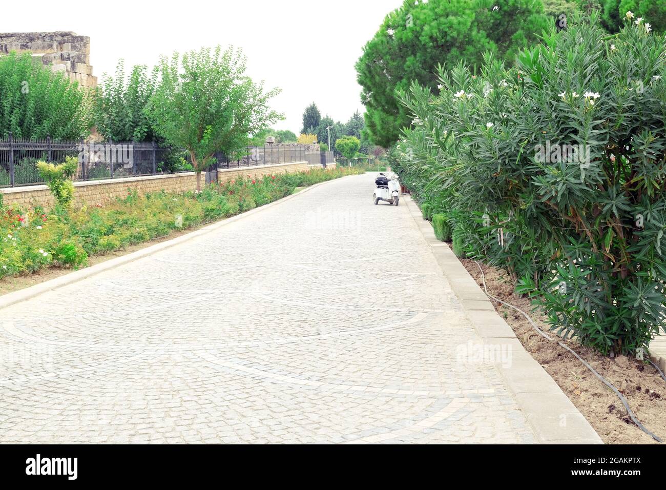 Asphalt path in the park Stock Photo - Alamy