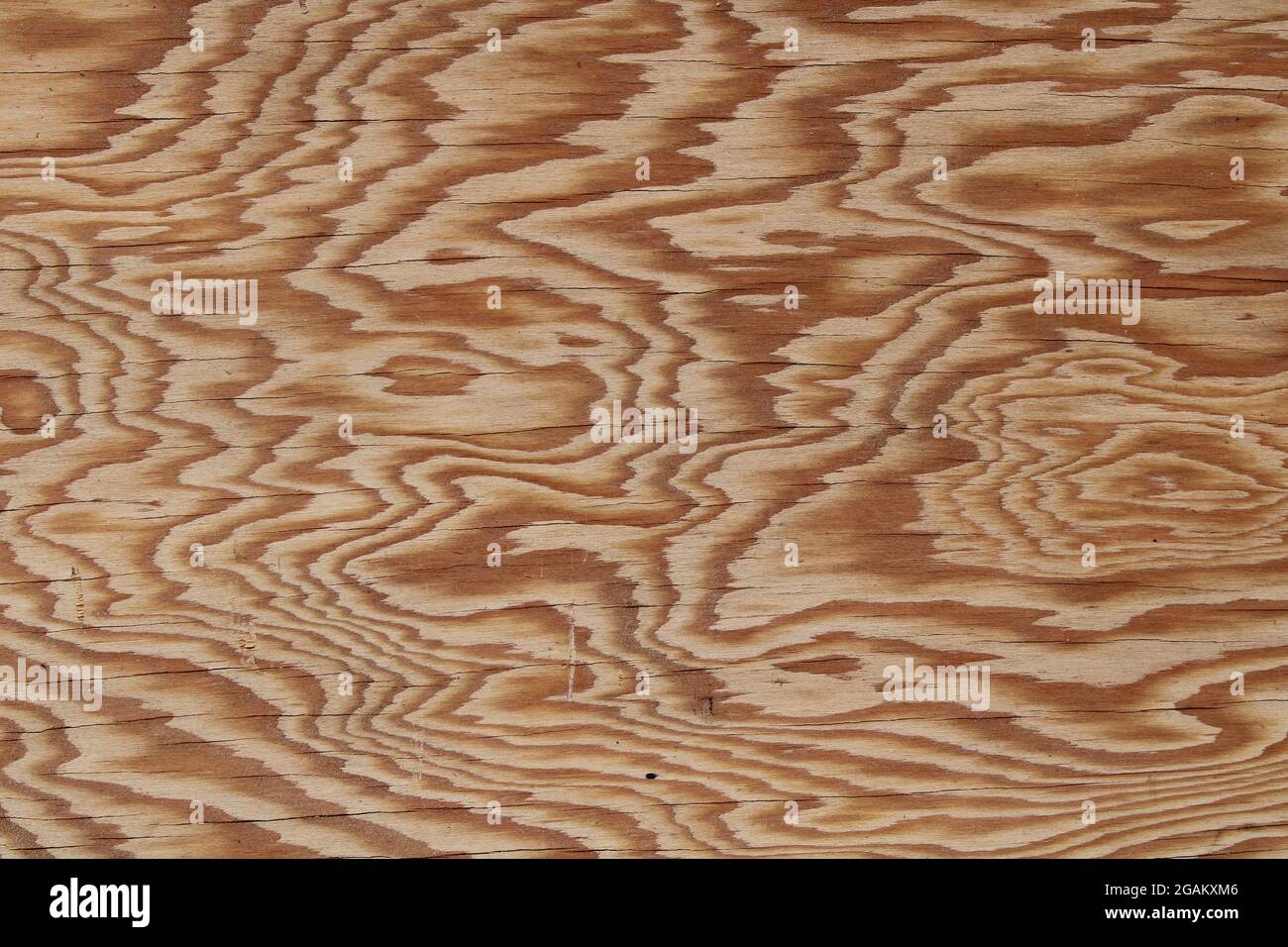 A Wavy Grain Pattern on a Sheet of Common Plywood Stock Photo Alamy