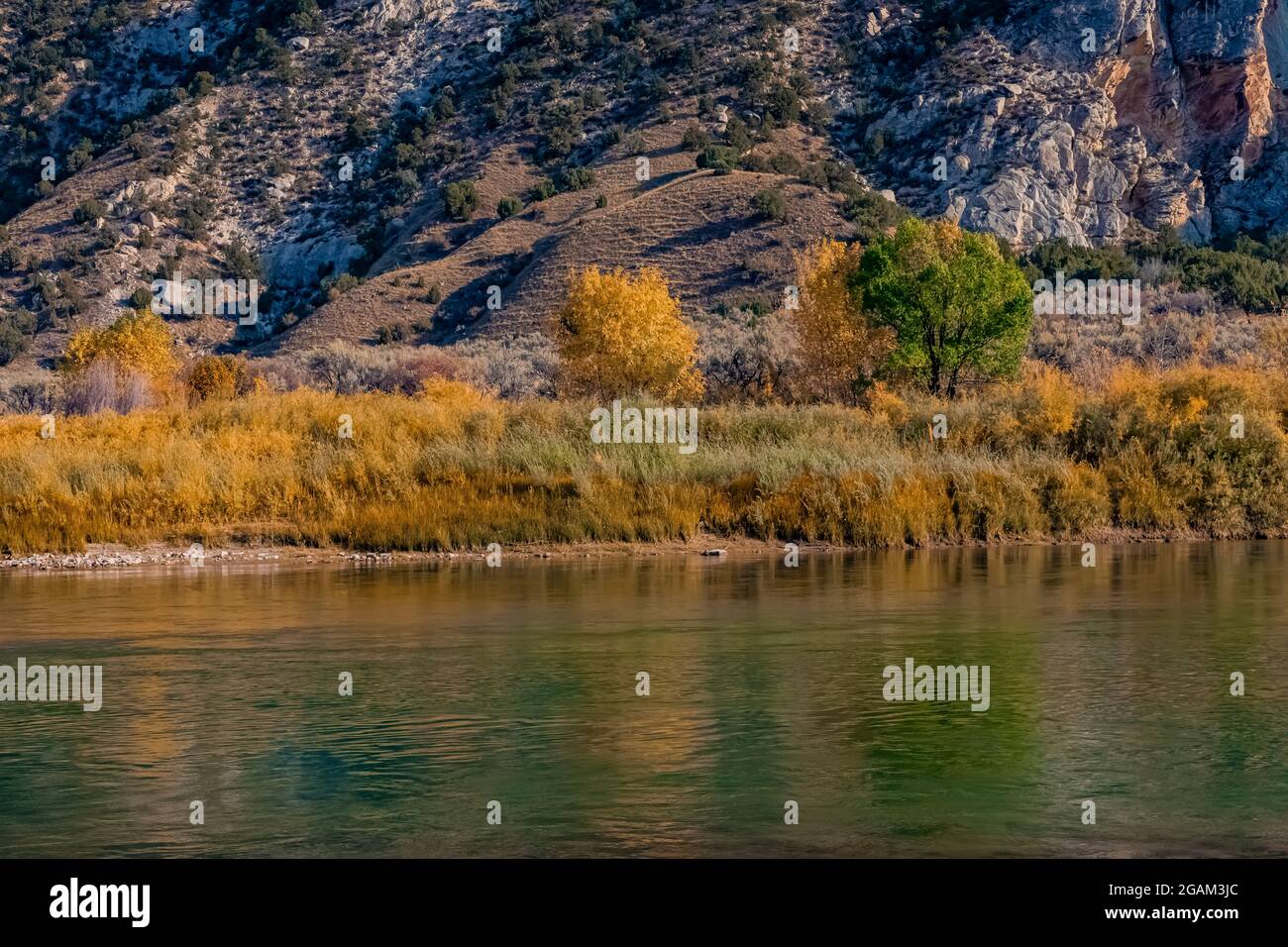 Green River at head of Split Mountain Canyon viewed from Rainbow Park in Dinosaur National Monument, Utah, USA Stock Photo