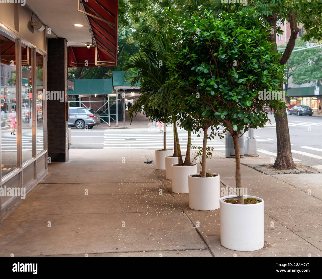 A restaurant in Chelsea leaves its decorative plantings for their al fresco dining in place despite being closed, seen on Tuesday, July 20, 2021. (© Richard B. Levine) Stock Photo