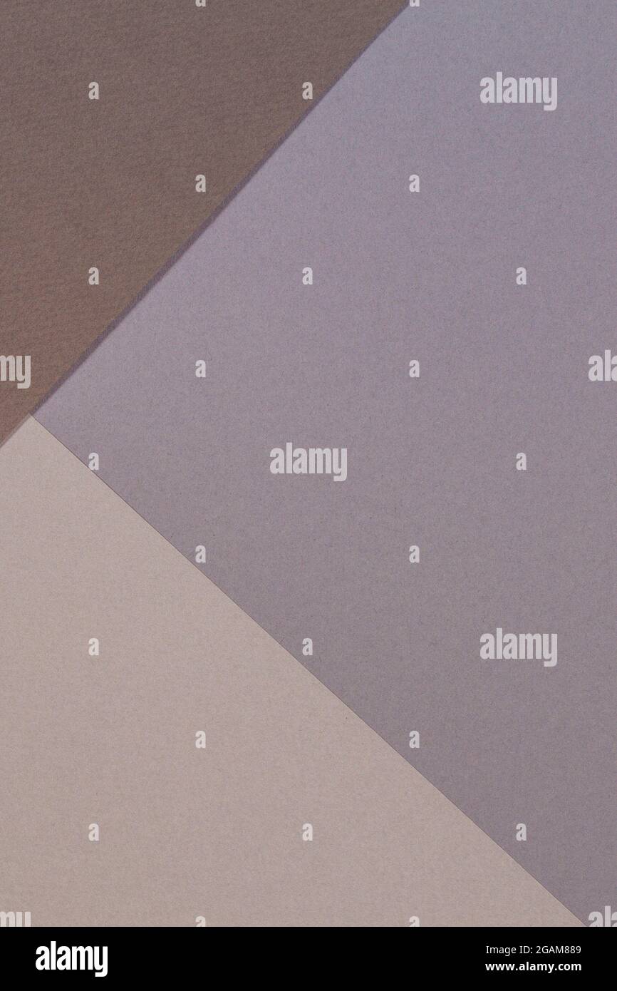 Color papers geometry composition background with gray and brown tones ...