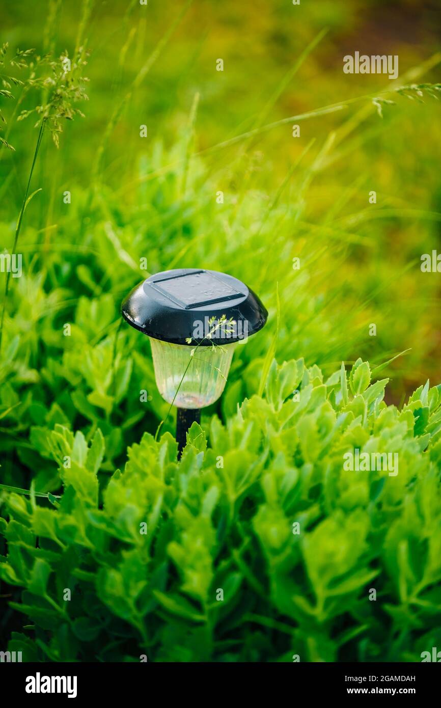 Garden Design. Solar Powered Lamp. Small Solar Garden Light, Lantern In Green Flower Bed Stock