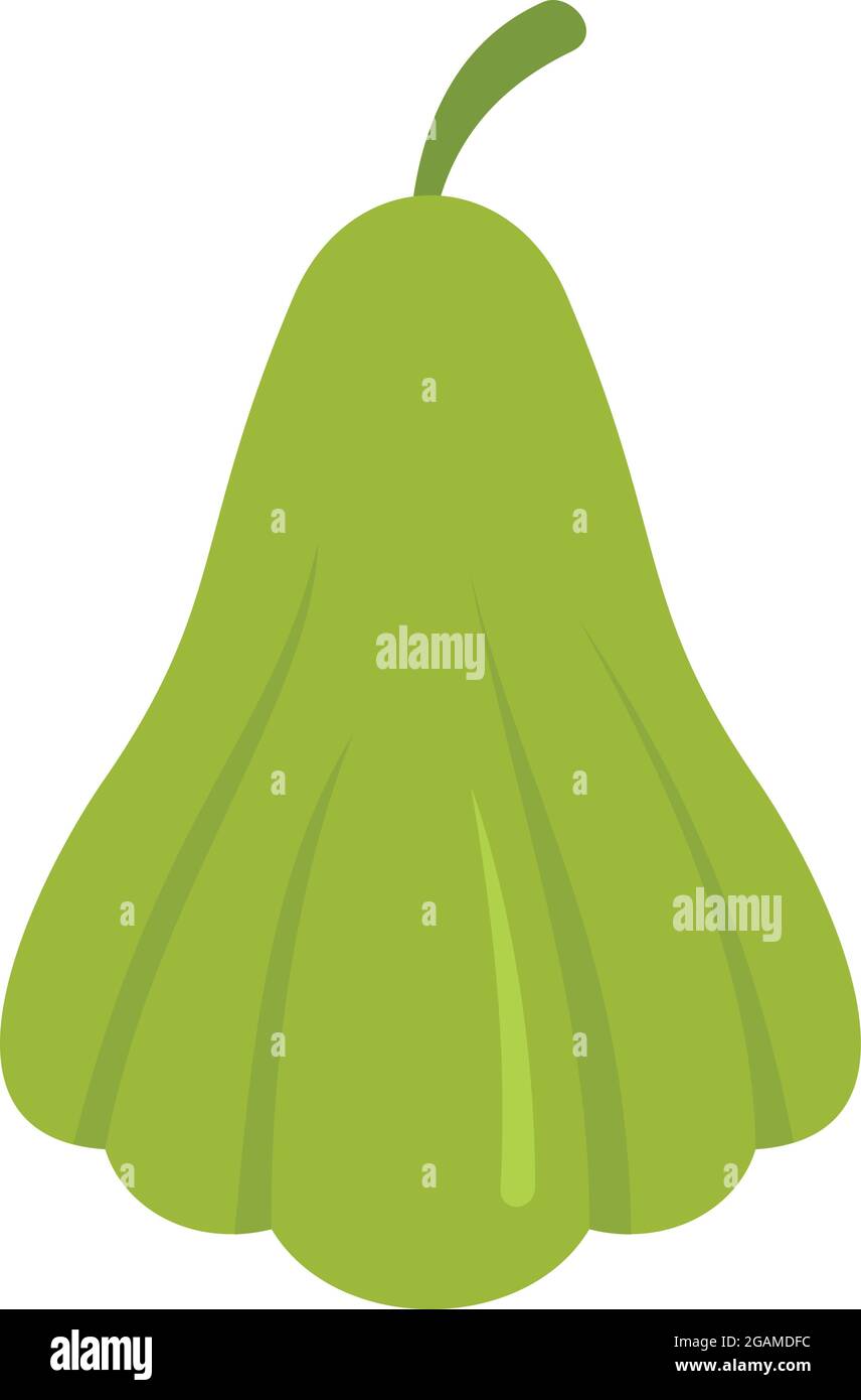 Chayote plant icon. Flat illustration of chayote plant vector icon ...