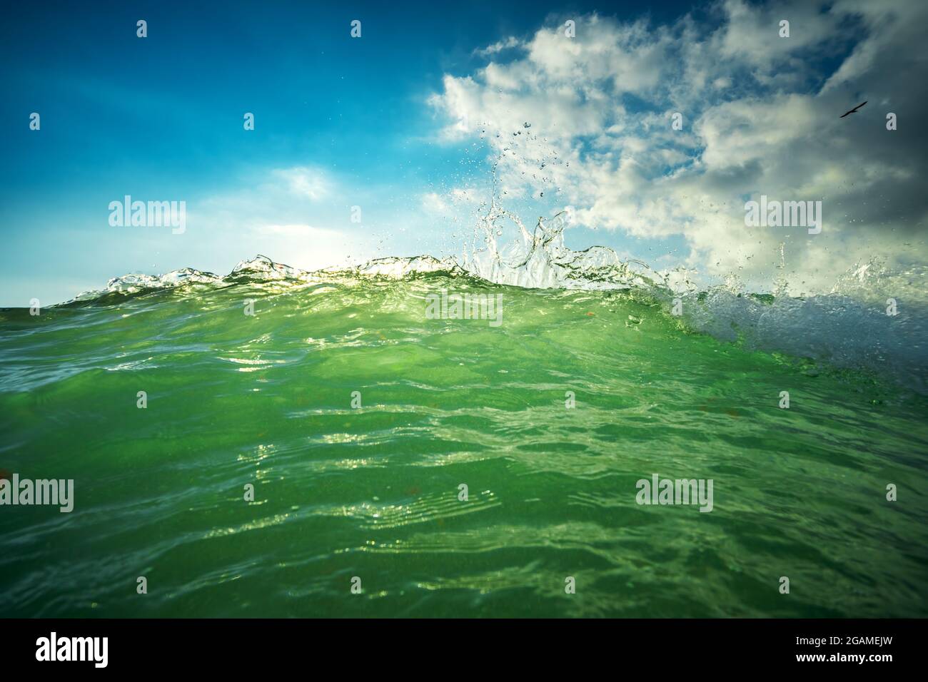 Green abstract color waves hi-res stock photography and images - Alamy