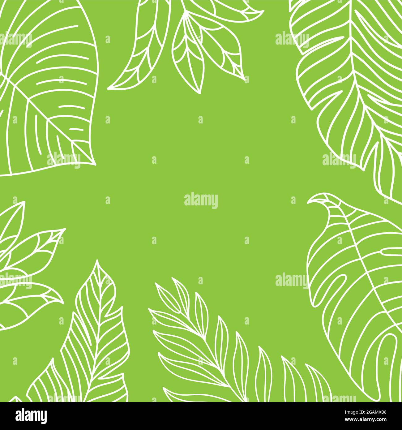 Vector tropical jungle frame with palm trees and leaves on white ...