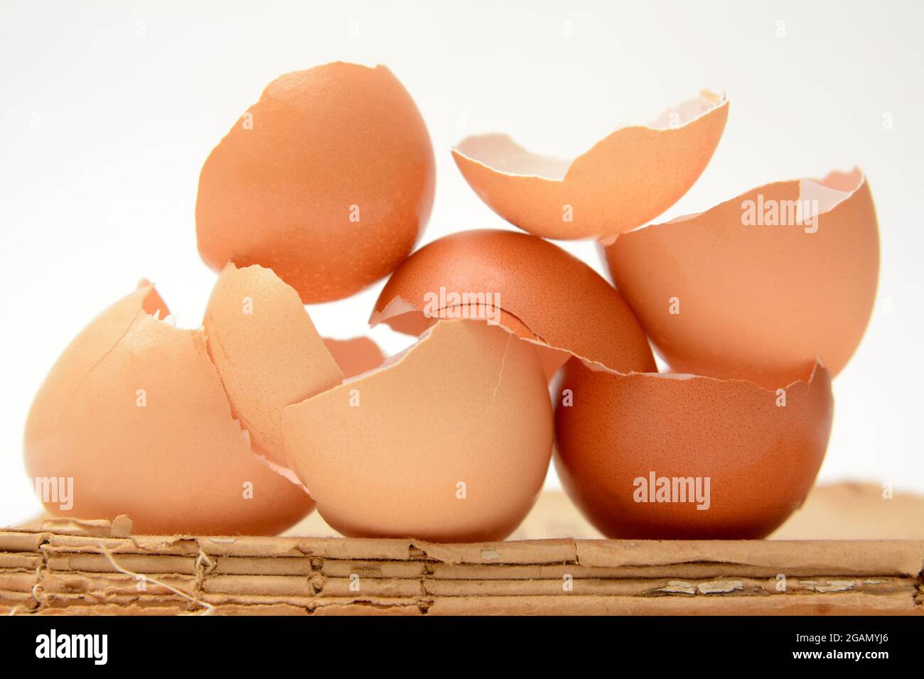 Group of broken egg shells isolated Stock Photo