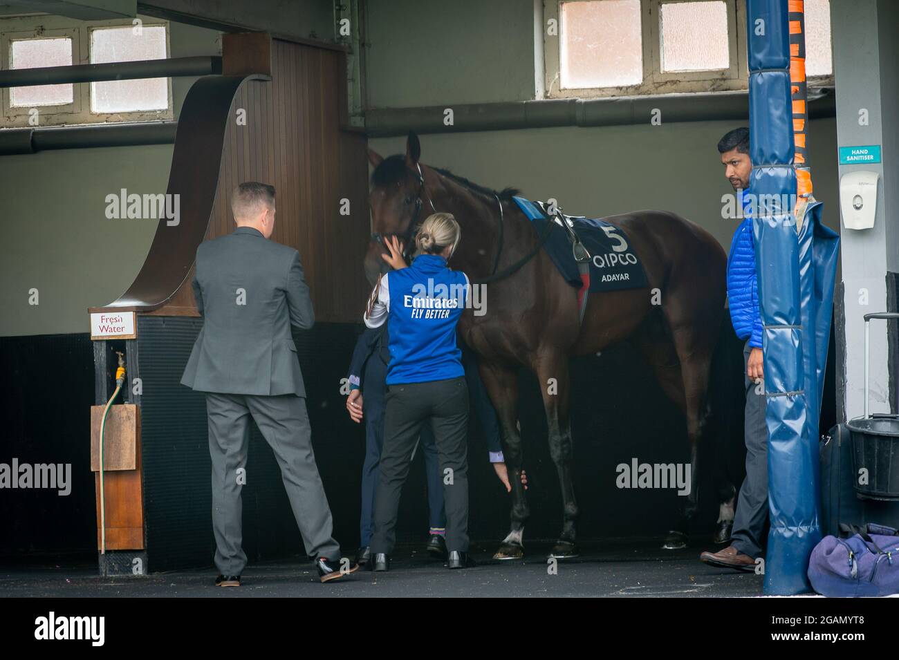 Ascot, Berkshire, UK. 24th July, 2021. Horse Adayar in the Pre Parade Ring before winning the