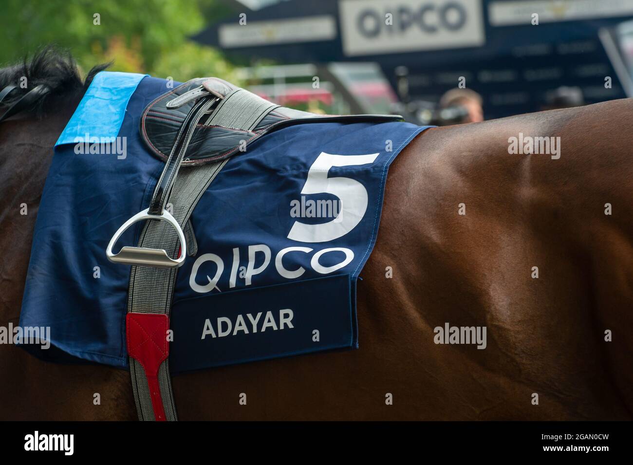 Ascot, Berkshire, UK. 24th July, 2021. Horse Adayar in the Parade Ring before winning the King