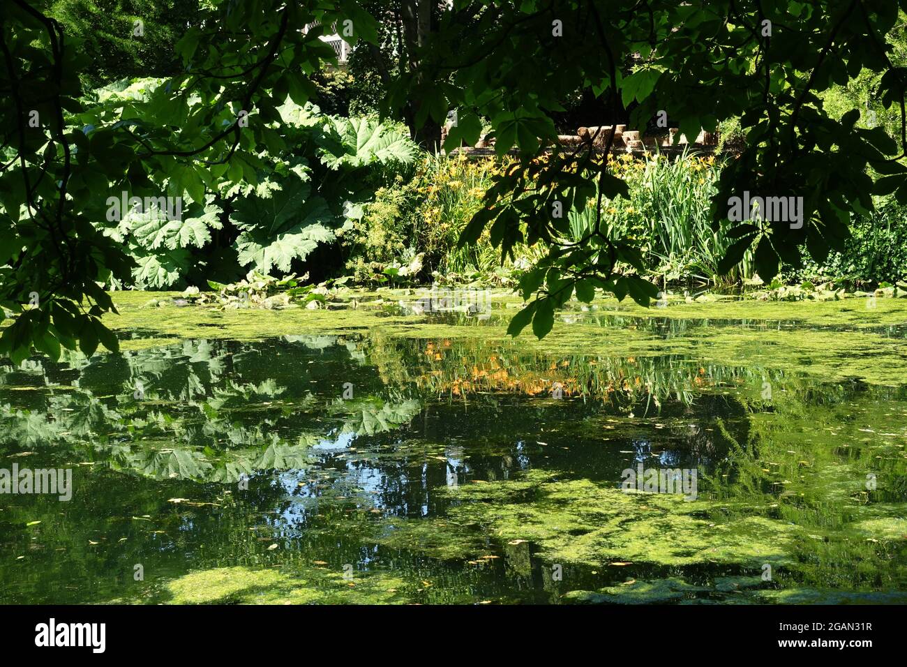 Gardens in Syon Park, London, UK Stock Photo