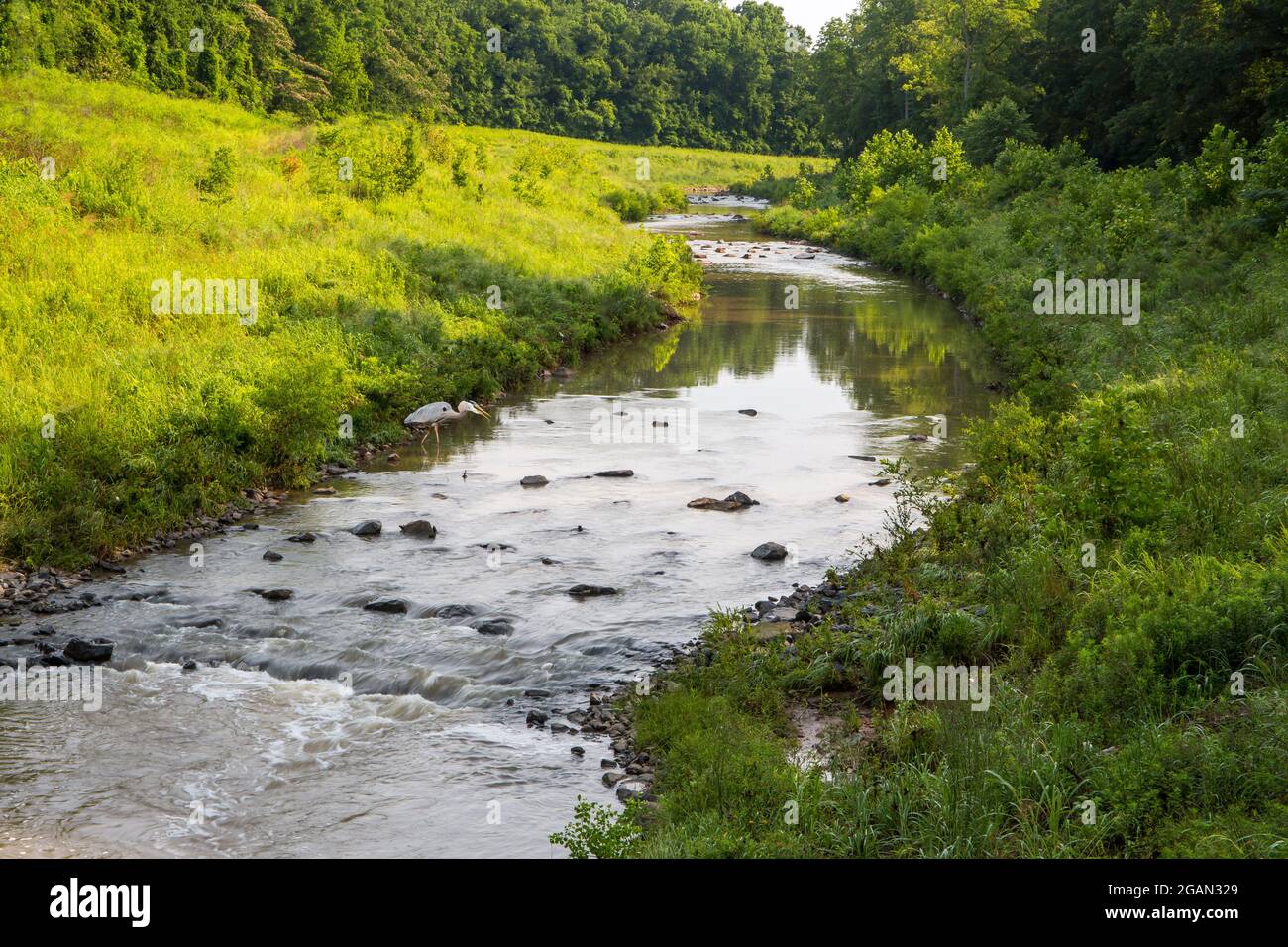 A restored portion of Little Sugar Creek in Charlotte, North Carolina