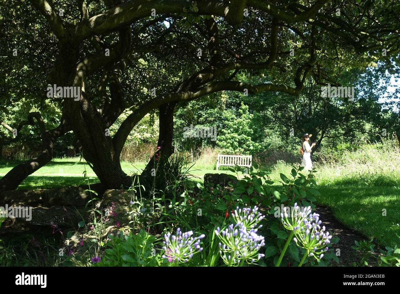 Gardens in Syon Park, London, UK Stock Photo