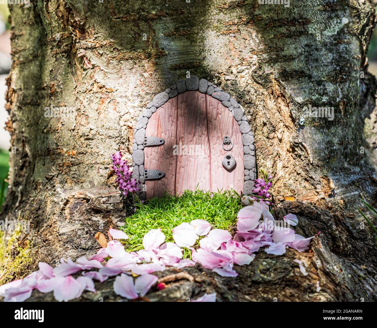 Little fairy tale door made from clay in a tree trunk with pink petals. Stock Photo