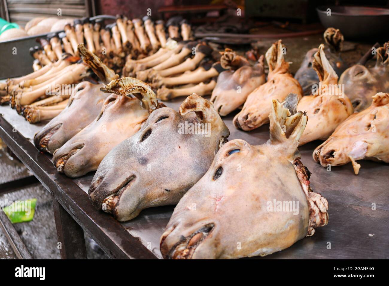 Roasted heads of goat on the floor Stock Photo Alamy