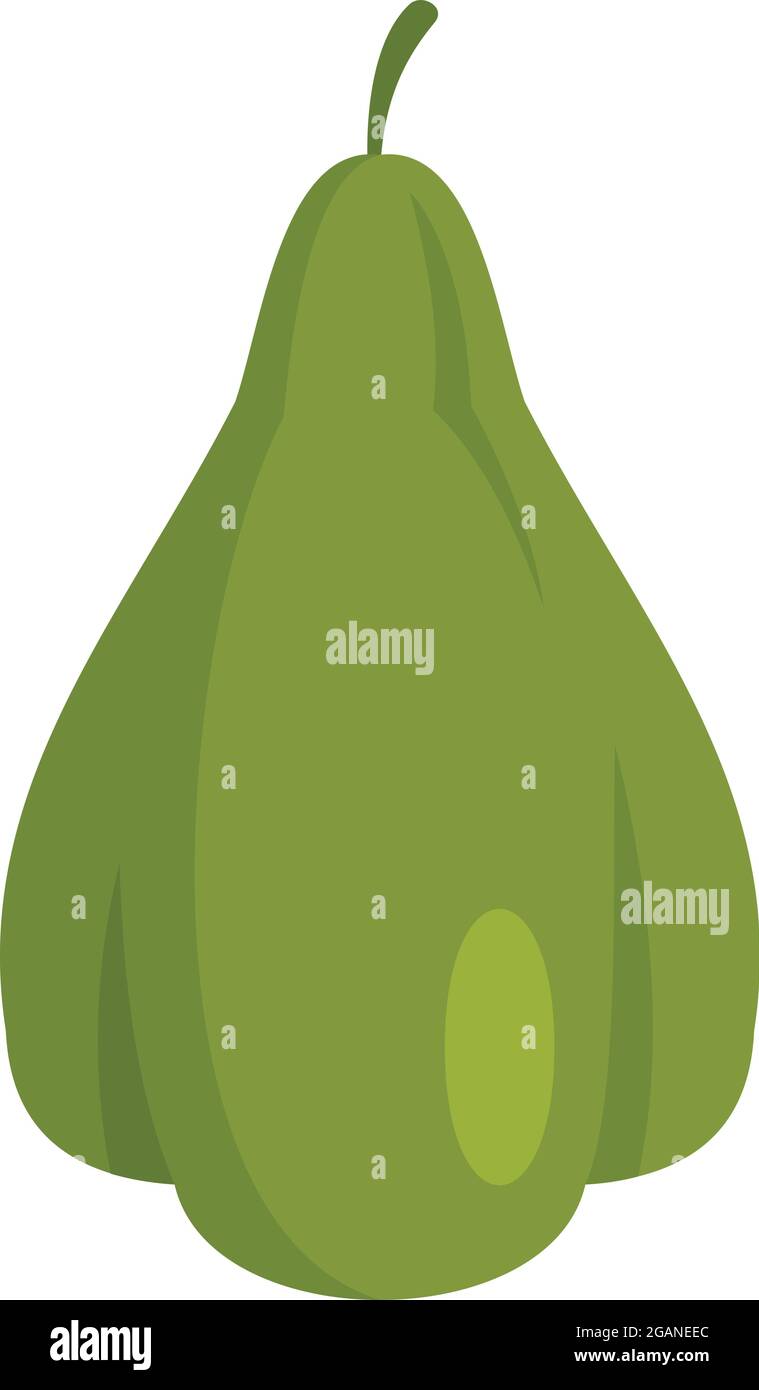 Mexican chayote icon. Flat illustration of mexican chayote vector icon ...