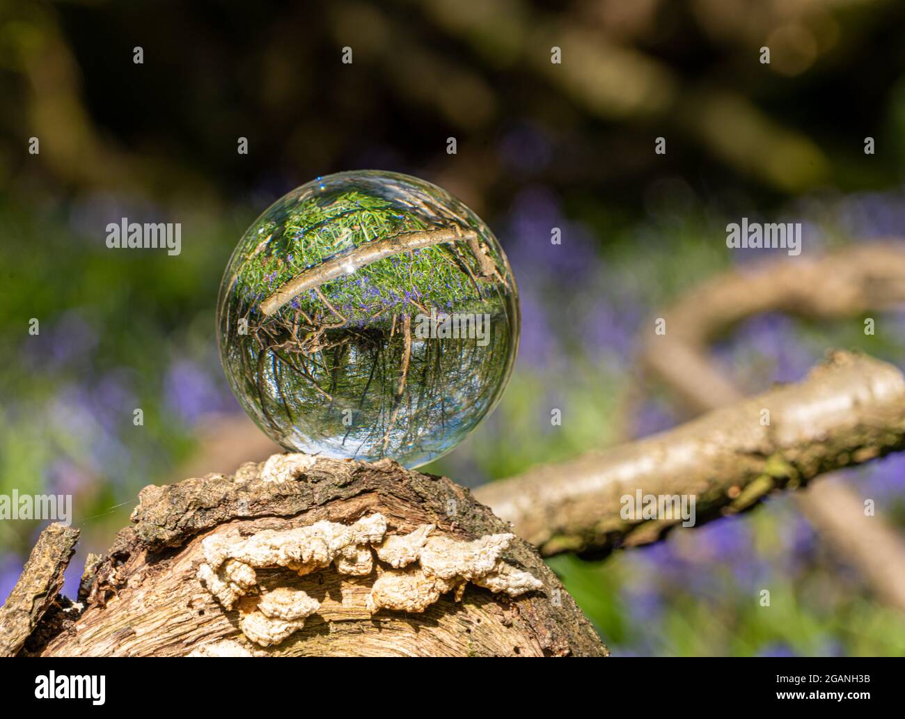 Crystal Photo Lens Magnifying Glass Spherical Ball showing an inverted
