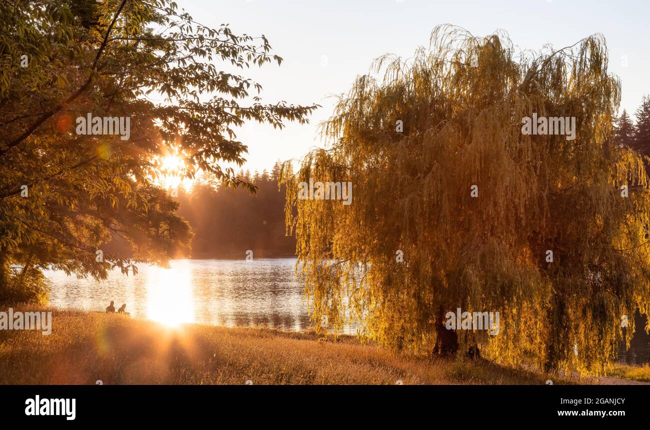Lost Lagoon in Stanley Park during sunny summer sunset. Stock Photo