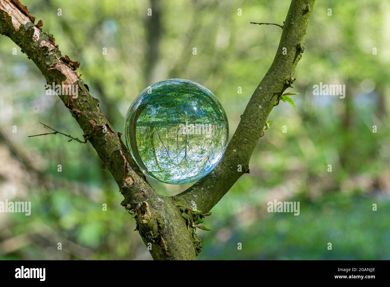 Crystal Photo Lens Magnifying Glass Spherical Ball showing an inverted
