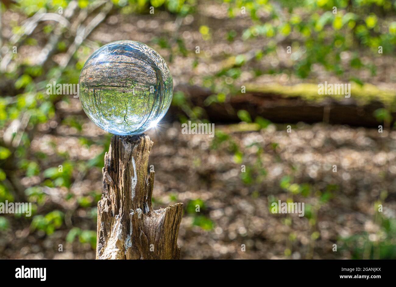Crystal Photo Lens Magnifying Glass Spherical Ball showing an inverted ...