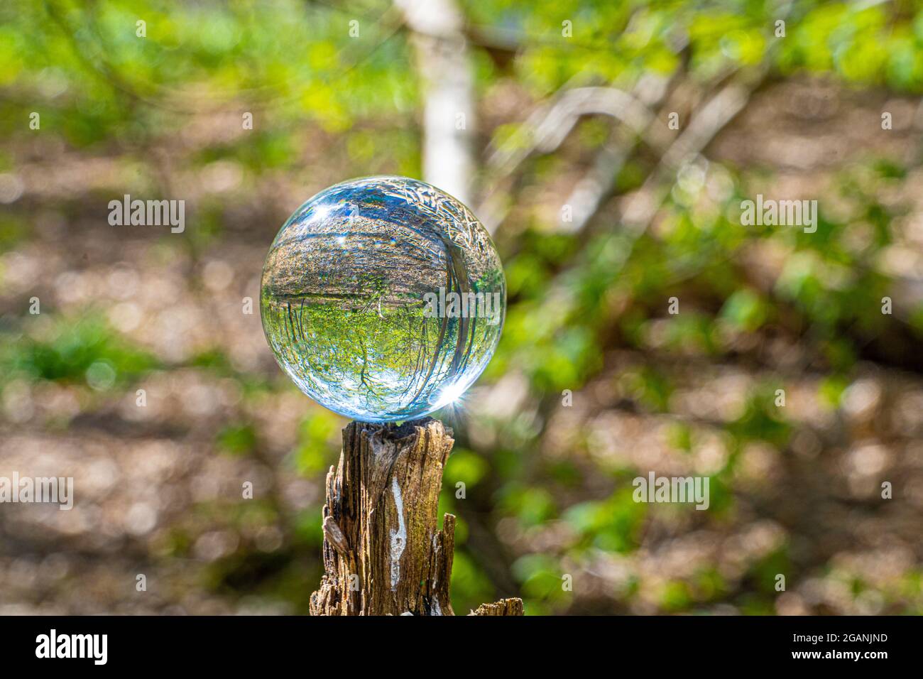 Crystal Photo Lens Magnifying Glass Spherical Ball showing an inverted