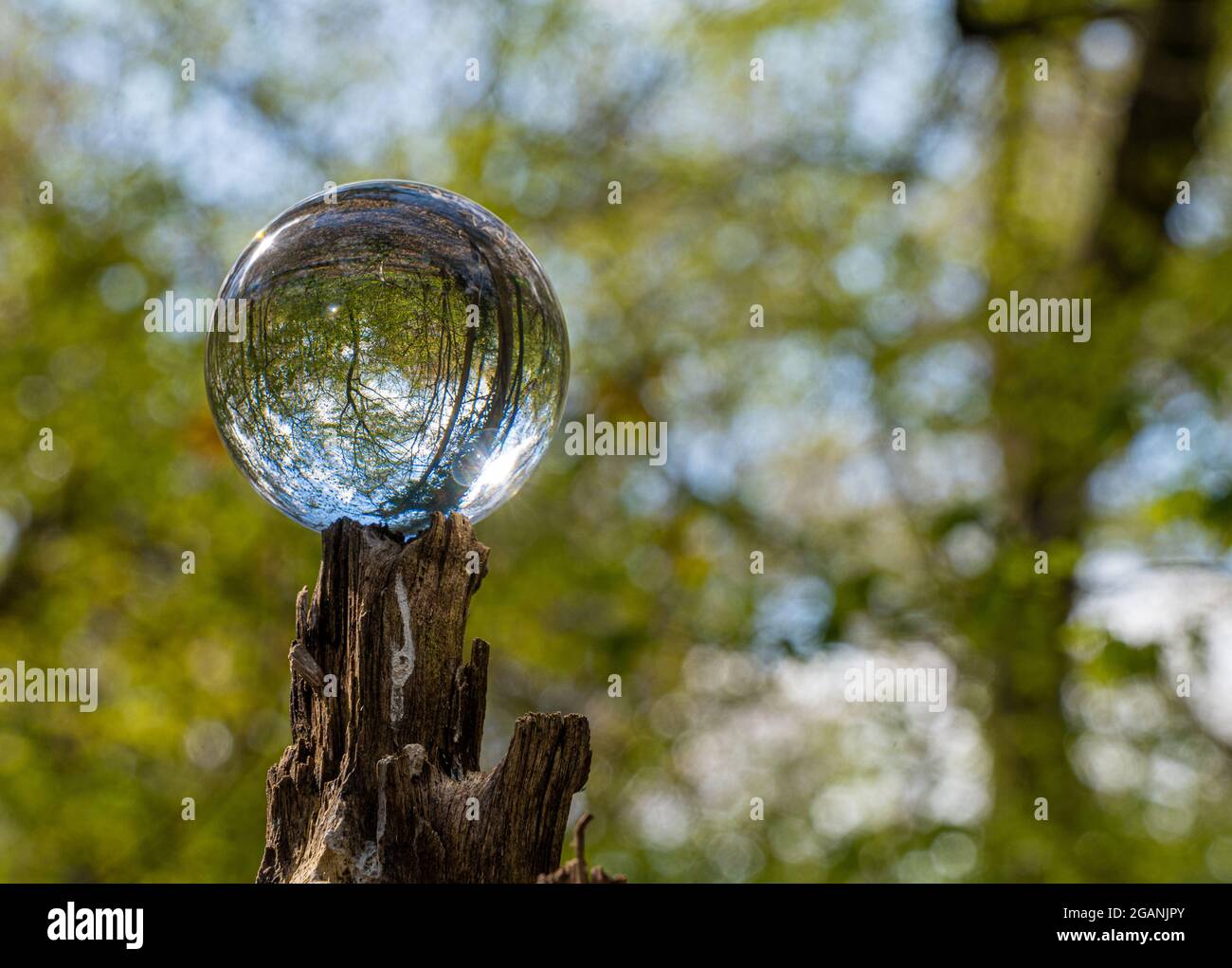 Crystal Photo Lens Magnifying Glass Spherical Ball showing an inverted
