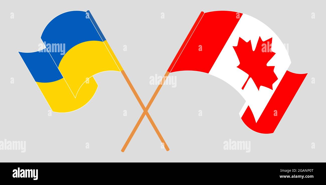 Crossed and waving flags of the Ukraine and Canada Stock Vector Image ...