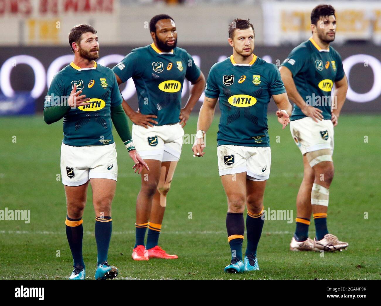 Willie Le Roux Springbok