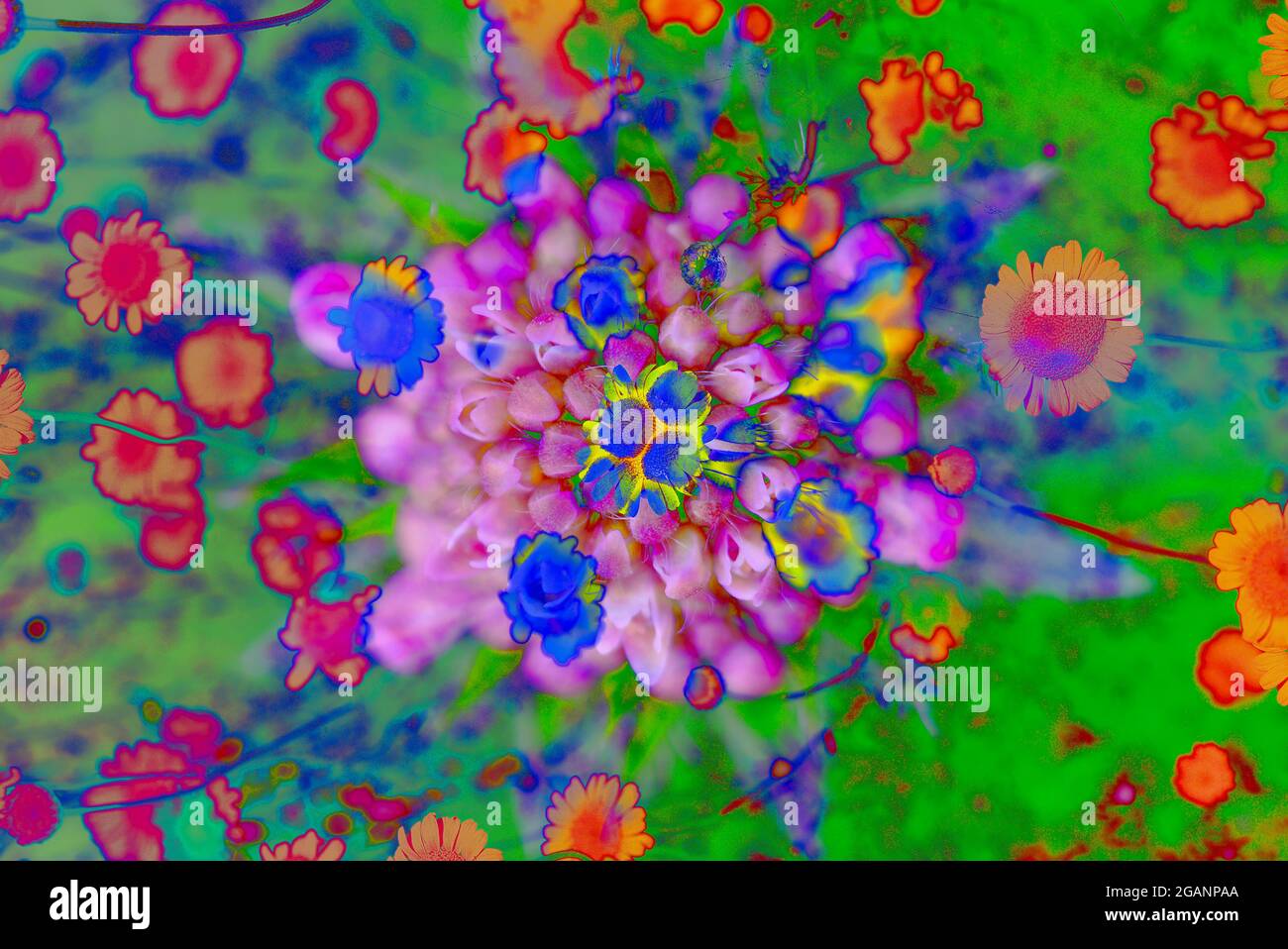multicolored psychedelic floral patter Stock Photo