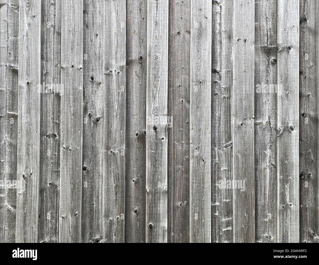 Wooden background. Wood texture. Grey rustic weathered surface Stock Photo