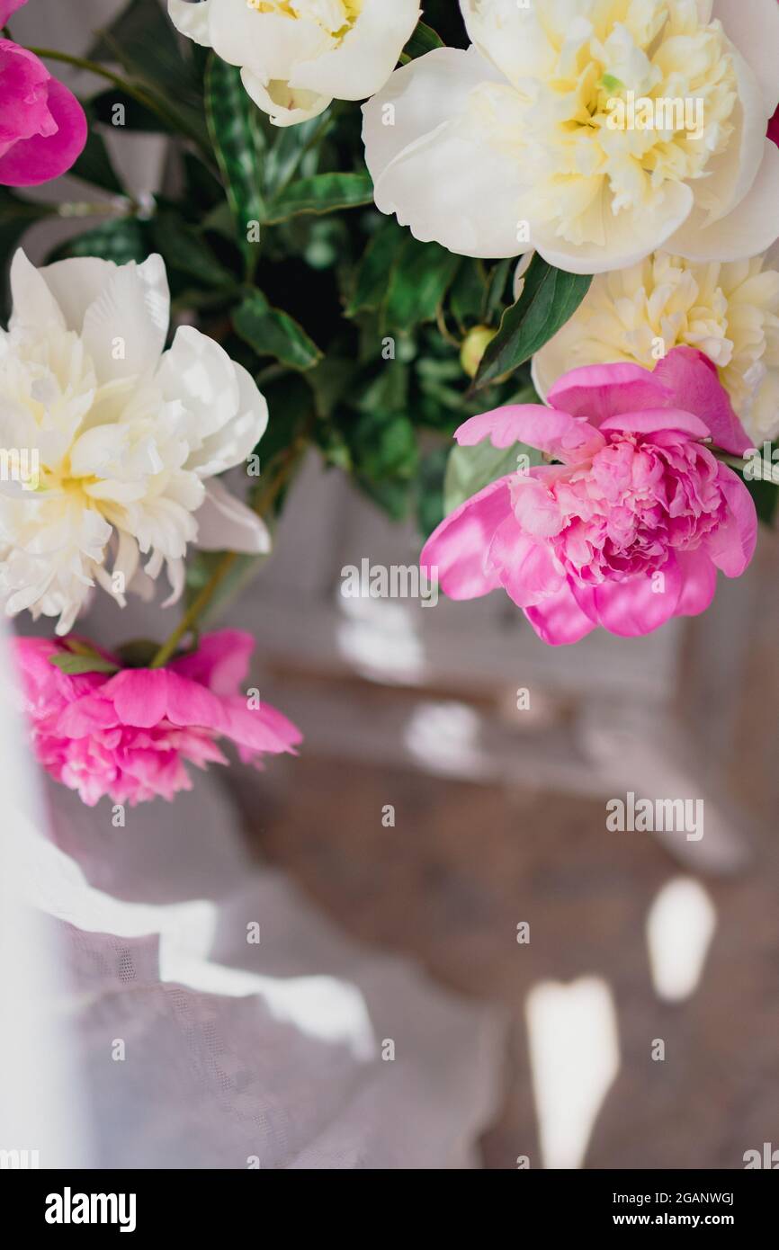 a bouquet of fresh white and pink peonies in a transparent glass vase with beautiful shadows near a white curtain tulle, in blur. Stock Photo