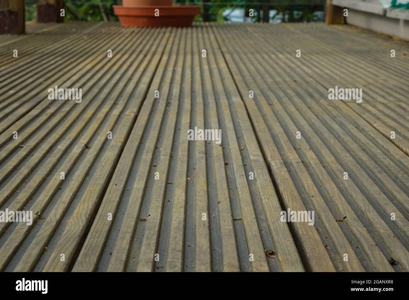 Close up of grooved wooden garden decking boards Stock Photo Alamy